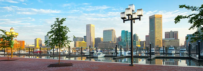 SA – Morrison Chiropractic in Ellicott City MD